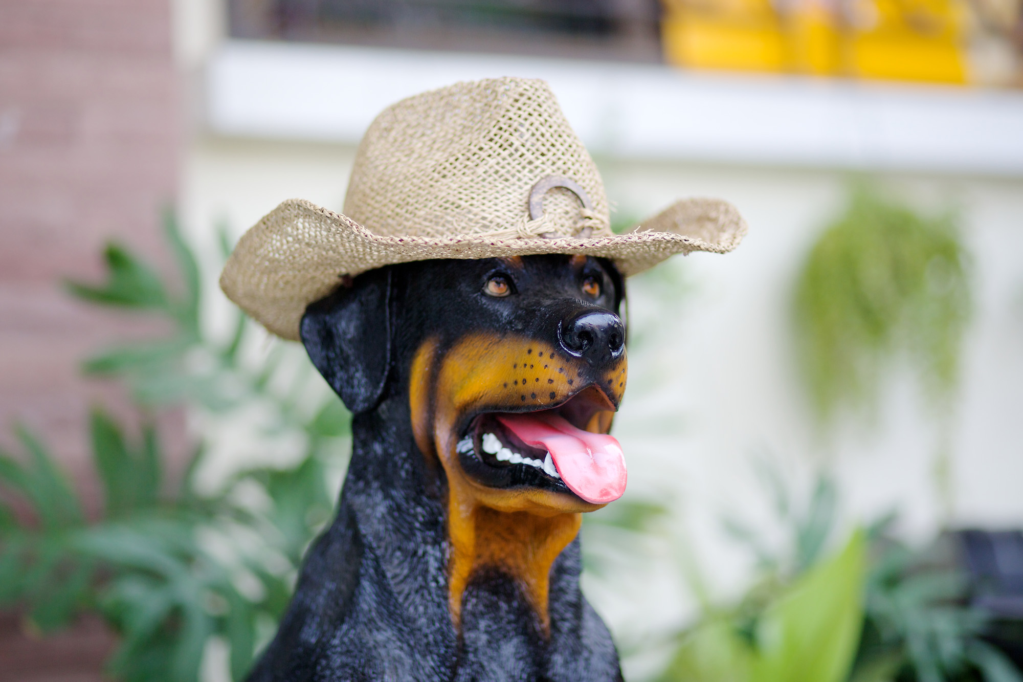 artificial dog sculpture, wearing my hat